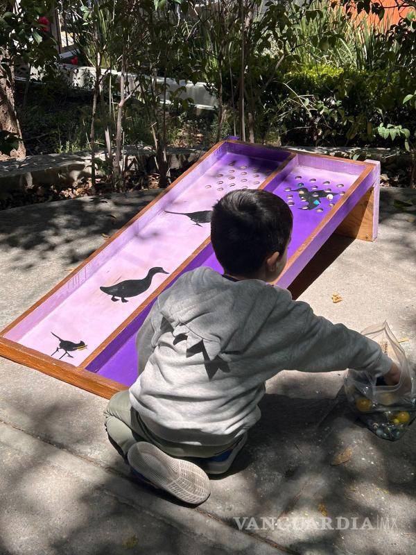 $!Niños y adultos podrán explorar la diversidad aviar y los distintos hábitats en exhibición en el Musave