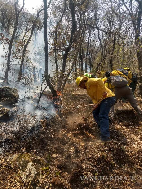 $!Se tiene el 100 por ciento de control del siniestro forestal que consumió 100 hectáreas de matorral y arbolado adulto.