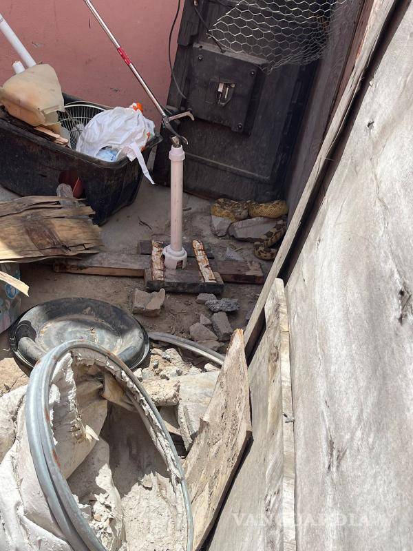 $!La víbora estaba en el patio de una casa en la colonia Analco.