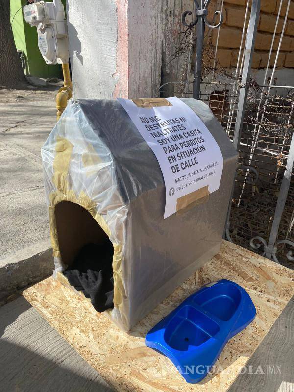 $!El colectivo anunció que irá lento en la colocación de estas casas con el objetivo de ver como son tratadas por la gente.