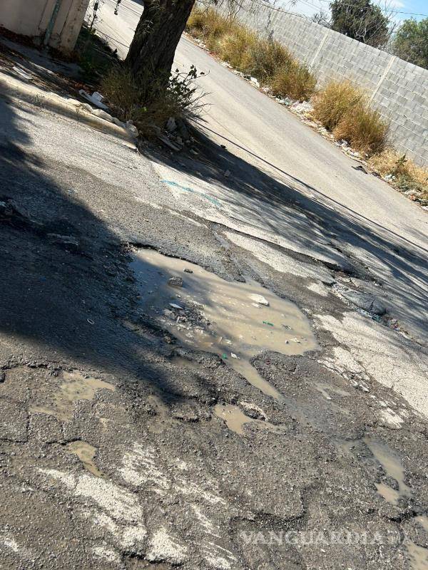 $!El primer reporte se hizo el 6 de octubre a través del bot de WhatsApp Saltillo en Tus Manos.