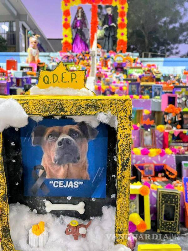 $!Estas manifestaciones reflejan que la vida continúa en la memoria y los gestos, y que el vínculo con los animales trasciende su ausencia física.