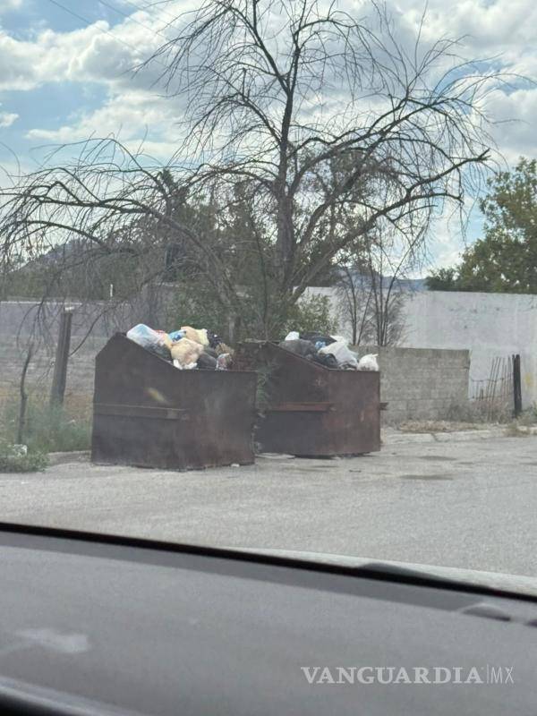 $!La presencia de animales entre los desechos preocupa a familias de varias colonias.