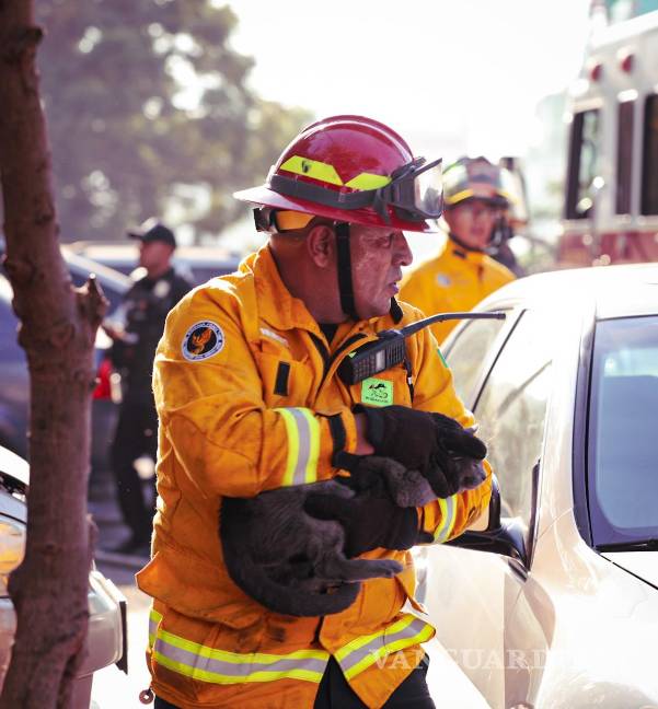 Evacuan a 30 personas y rescatan a seis animales por incendio en Monterrey, Nuevo León