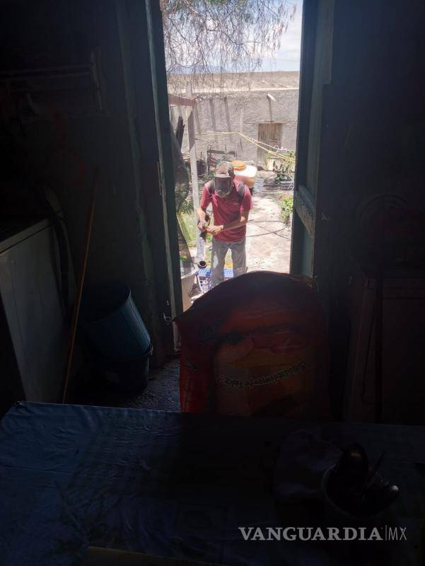 $!Ecología de Ramos Arizpe refuerza la fumigación en ejidos y colonias para eliminar garrapatas y proteger la salud pública.