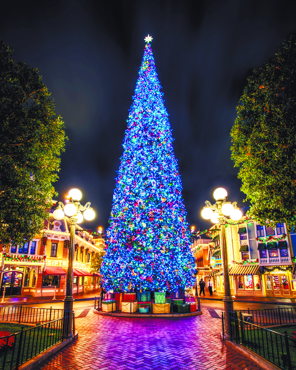 $!El árbol de Navidad, la estrella de las fiestas