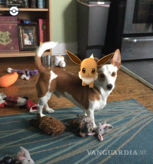 $!Los lugares más raros para cazar pokemons