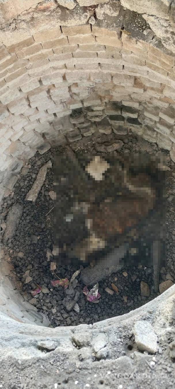 $!Vecinos y activistas exigen justicia para “Roco” y sanciones contra la crueldad animal.