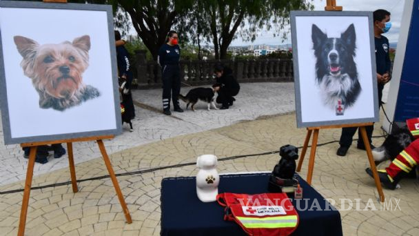 $!Tango y Balam fueron despedidos por la Cruz Roja Mexicana, donde cumplían labores de rescate.