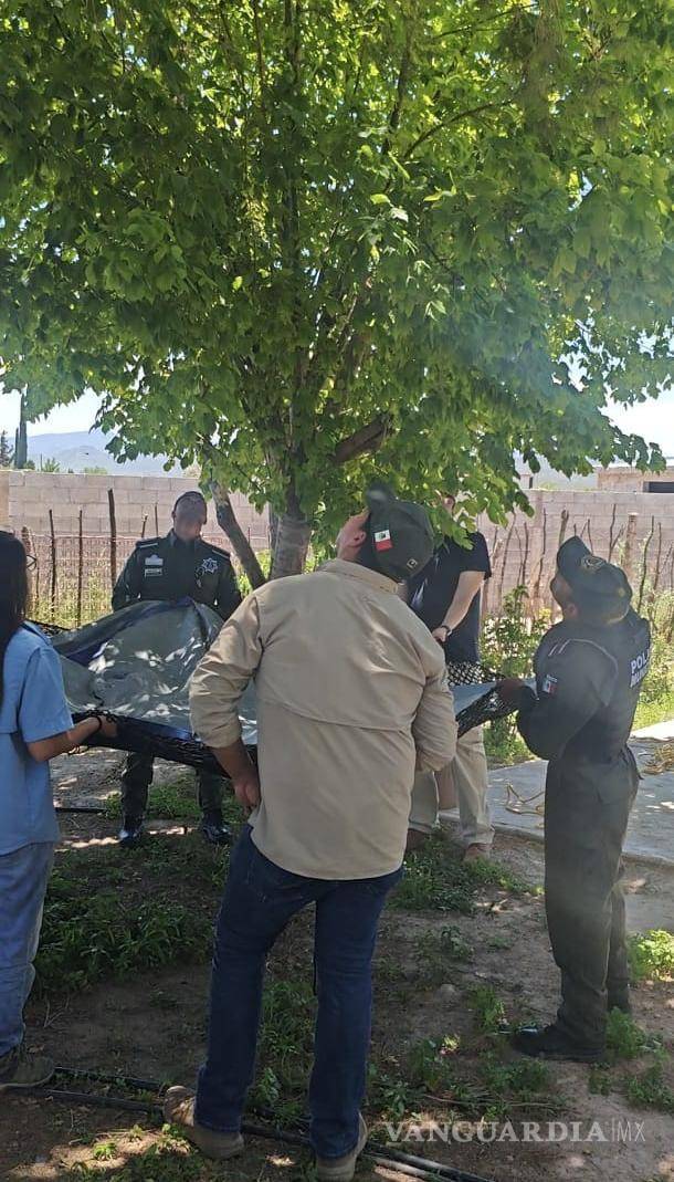 $!Un oso juvenil fue rescatado en el ejido Cuautla tras ser localizado sobre un árbol cerca de una vivienda.