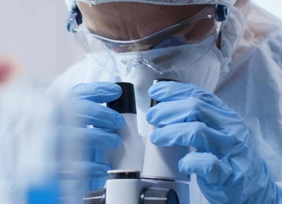 Diputados proponen regular la medicina basada en la regeneración celular