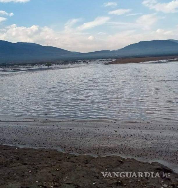 $!Hay planes para llevar a cabo 36 trabajos más de desazolve en el próximo año, asegurando un suministro constante de agua para el ganado en estas áreas rurales.