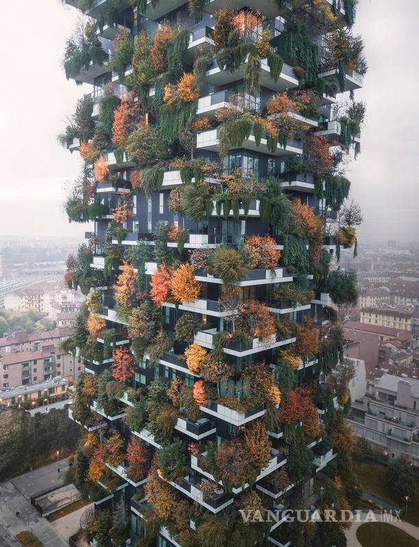 $!¡El verano está cerca! Estos son los lugares más asombrosos del mundo para hospedarse