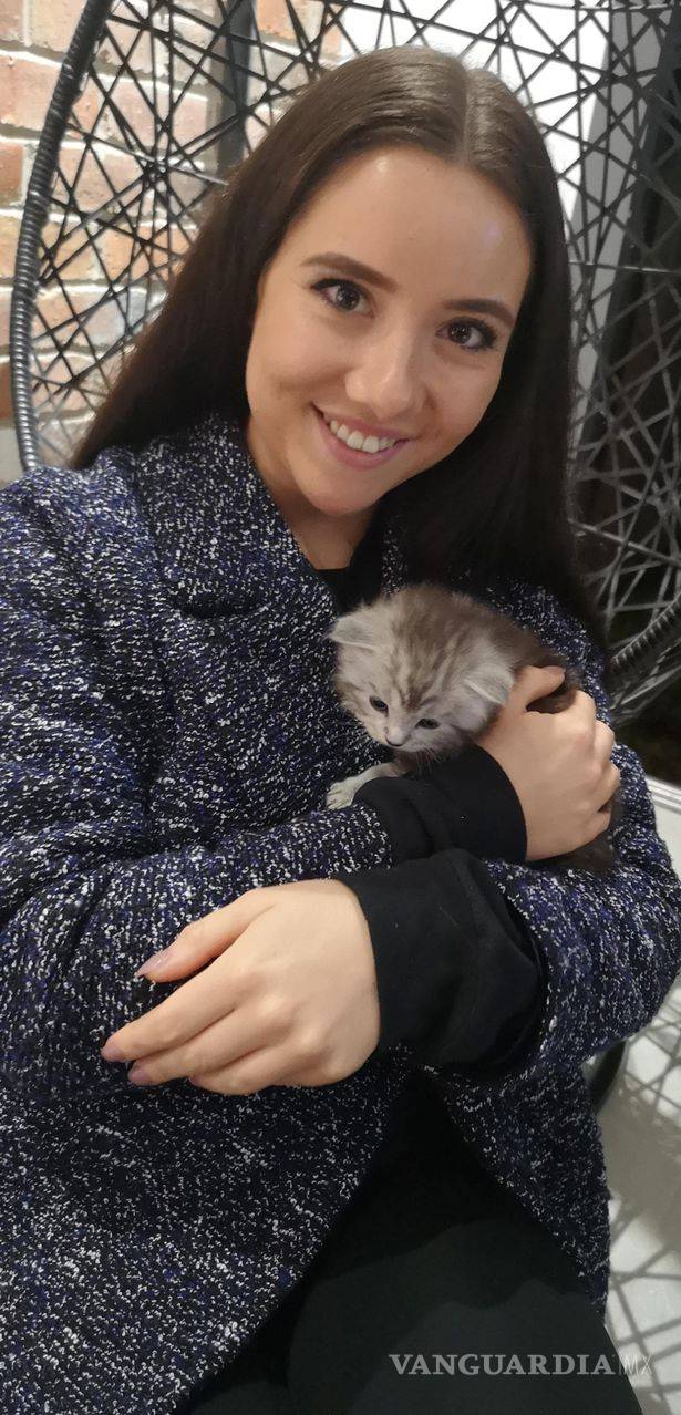 $!Quedó paralizada por cuidar a gatita callejera sin precaución