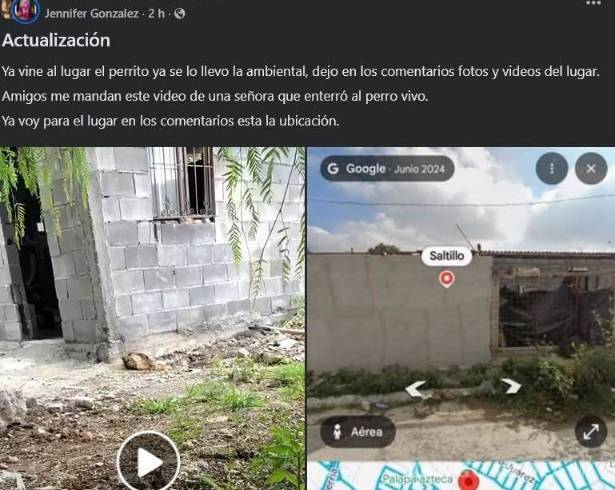 El perro fue localizado dentro de un hoyo al oriente de Saltillo y rescatado por elementos de la Policía Ambiental el pasado viernes.