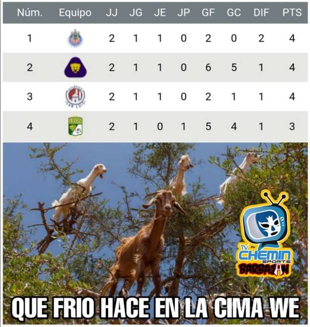 $!Los memes de la Semana 2 de la Liga MX