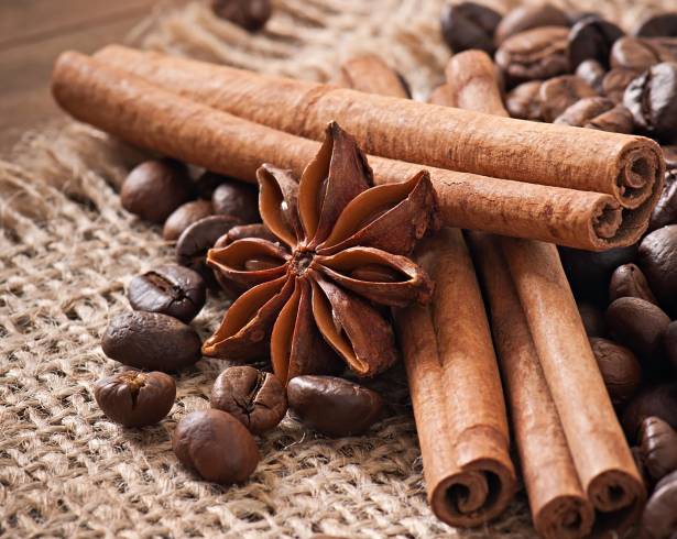 Desde postres hasta moles, la canela se integra en la cocina mexicana como un toque especiado que equilibra sabores dulces y salados.