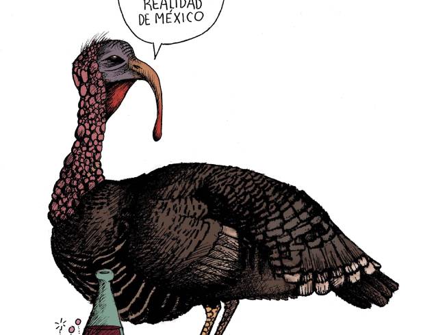 La cruda... realidad