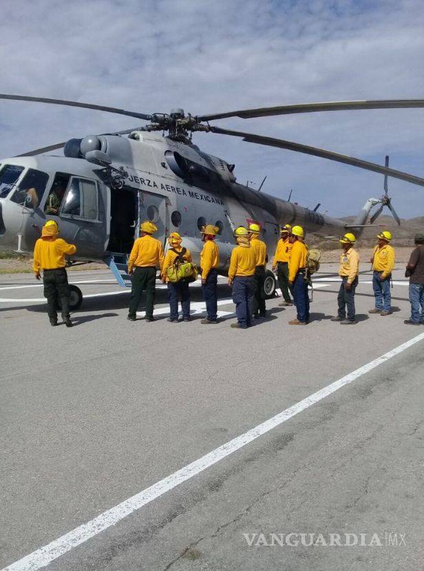 $!Corrige Conafor incendio no se registra en Maderas del Carmen, Ocampo Coahuila