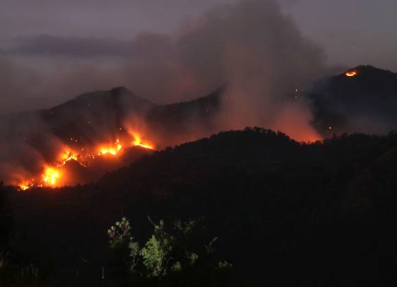 Actualmente México registra 123 incendios forestales activos con 52,315 hectáreas afectadas