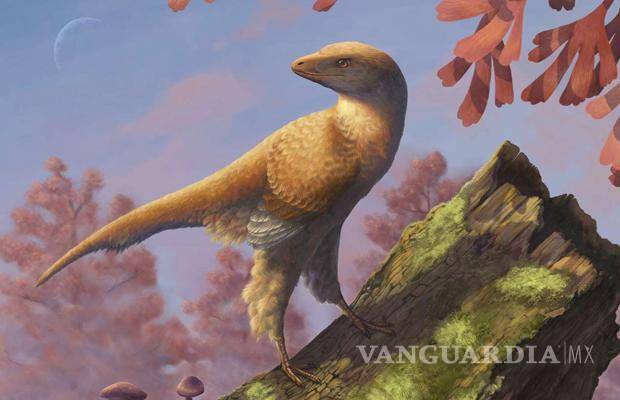 $!Se cree que este dinosaurio pudo haber tenido plumas, por ello lo relacionan con las aves modernas.