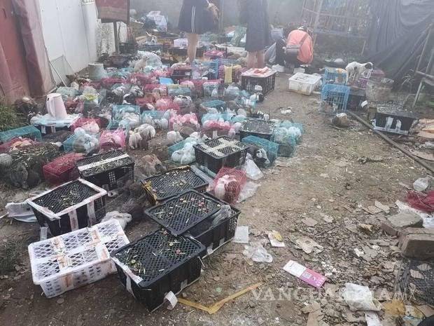 $!Encuentran sin vida miles de gatos y perros en un almacén de paquetería, en China