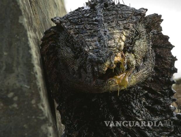 Director de “Distrito 9” presenta avances de cortos de ciencia ficción