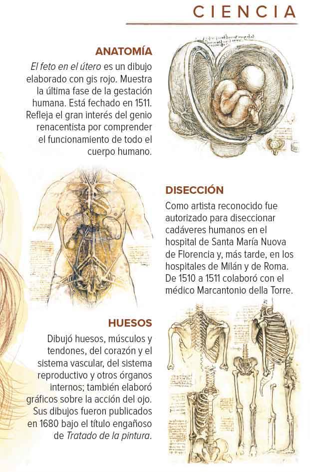 $!Leonardo da Vinci: La vida de un genio