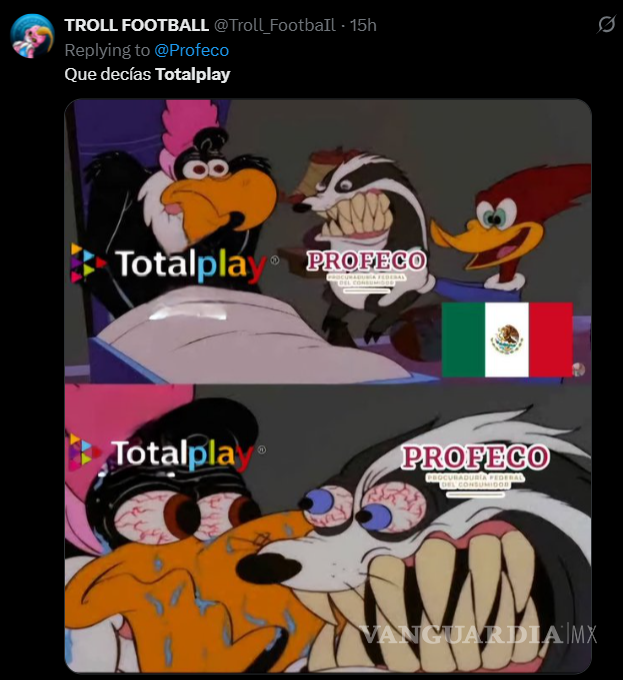 $!¿Qué pasa con Totalplay? Todo lo que debes saber sobre el límite consumo, tarifas y la respuesta de Profeco