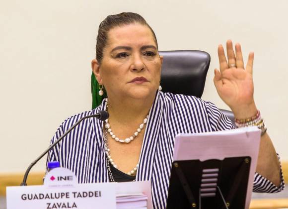 INE solicita expedientes de los 26 candidatos, ligados al crimen organizado