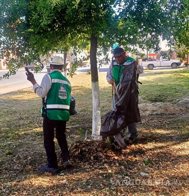 $!Empleo temporal no solo contribuye al embellecimiento y mantenimiento de la ciudad, sino que también genera fuentes de ingreso para familias que lo necesitan.