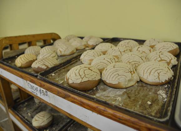 Saltillo: Recuerdos olvidados