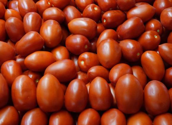 ¿Se salvaron los jitomates? Informan acuerdo entre Estados Unidos y México
