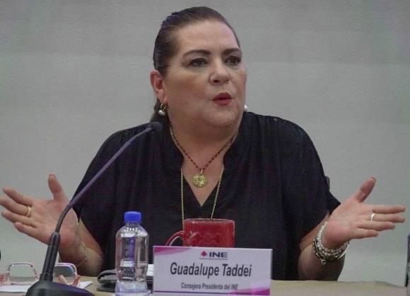 Revisará INE perfiles dentro de su competencia: Taddei