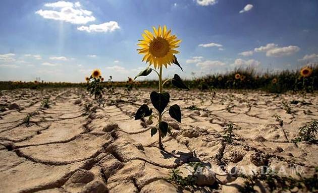 $!Prevé ONU nuevo récord mundial de temperatura en 2016