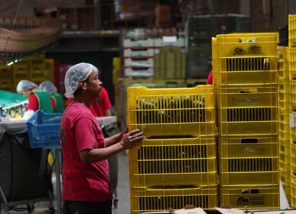 Resta esperar precisión sobre aranceles para conocer el impacto: economista