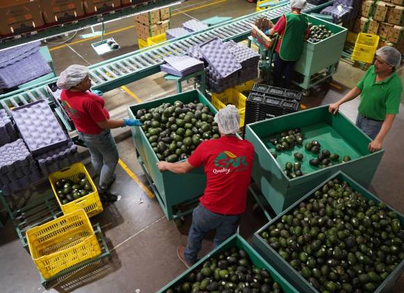 Incertidumbre y desaceleración económica, causantes de la pérdida de empleo en Coahuila