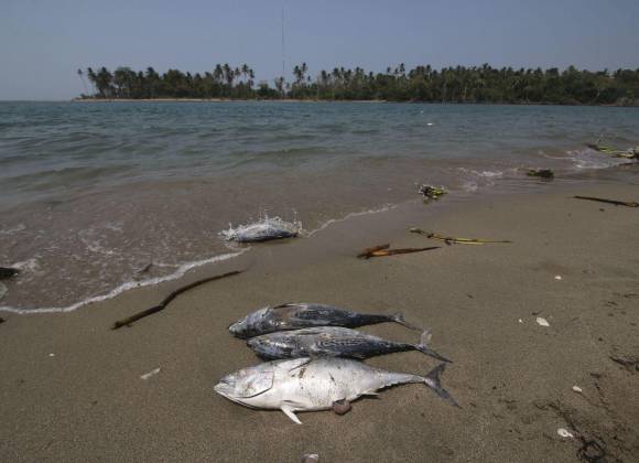 Se derraman 300 barriles aceité en el mar de Dos Bocas, Tabasco