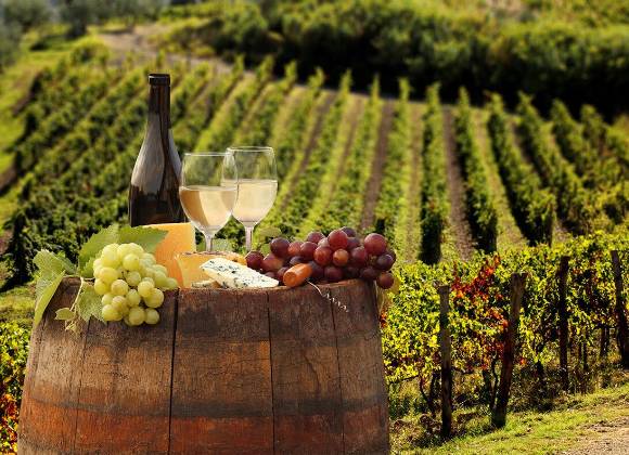 Ruta de Vinos y Dinos