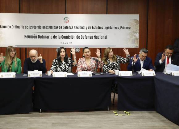 Avanza reforma que permite portación de armas a funcionarios