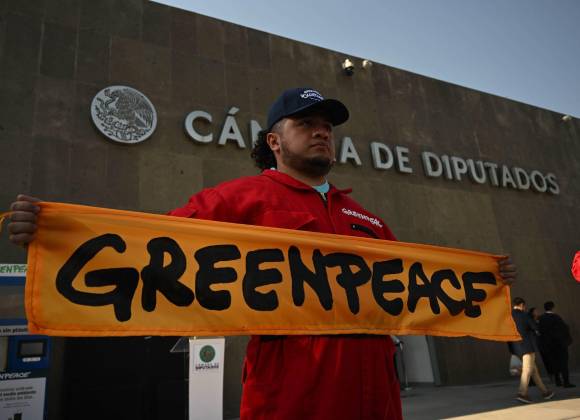 ¿Greenpeace México vs AMLO?; Suprema Corte concede amparo para Fondo para el Cambio Climático