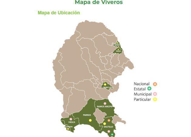 $!¿Dónde puedes comprar un árbol ideal para tu casa en Saltillo? ¿Y cómo sembrarlo?