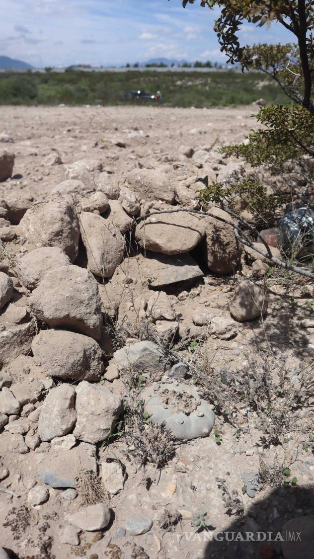 $!Trazos de caminos en zona de plantas vulnerables en el poniente de Arteaga.