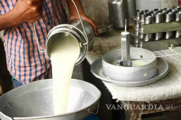 $!La leche es un alimento básico en la dieta de muchas personas en los Estados Unidos, pero ¿qué pasa con la leche no pasteurizada? También conocida como “leche cruda”, la leche no pasteurizada no se ha sometido al proceso de pasteurización.