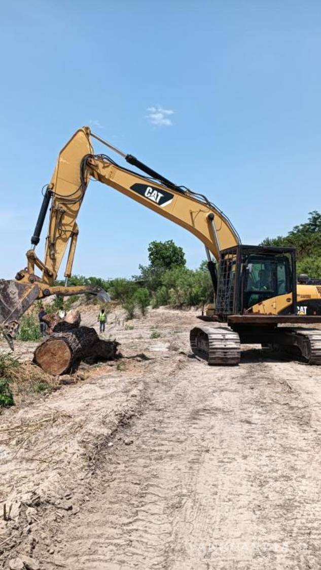 $!El emblemático árbol fue trasladado y ahora recibirá una placa conmemorativa.
