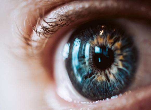 Glaucoma, una enfermedad silenciosa que daña el nervio óptico en la que la prevención es crucial