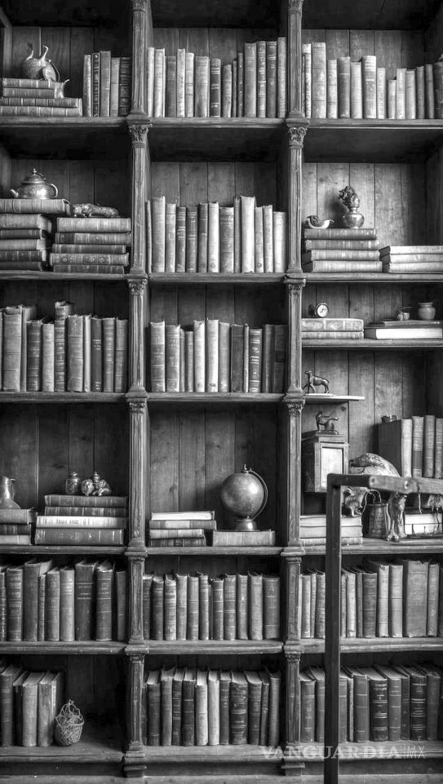 $!La Biblioteca de Maximiliano, con más de tres mil volúmenes, constituye una pérdida invaluable para la historia de México.