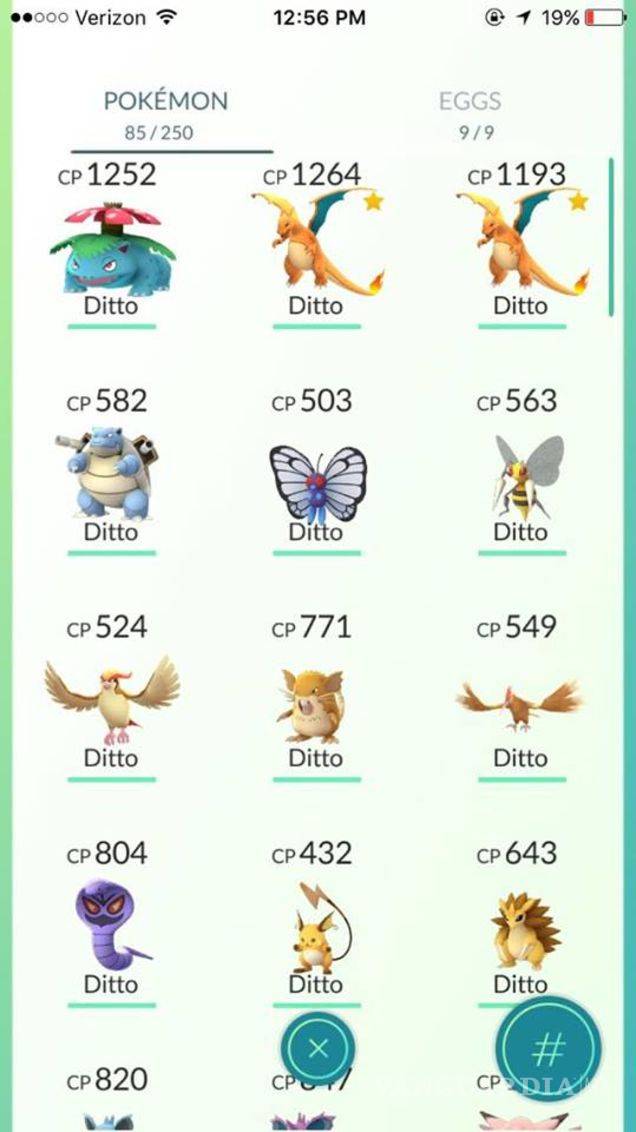 $!Pokémon tip: Teorías para conseguir a Ditto