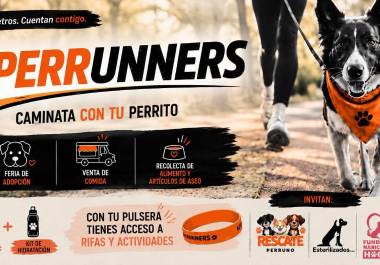 La jornada incluirá una feria de adopción, venta de comida y recolección de alimento y artículos de aseo para mascotas.