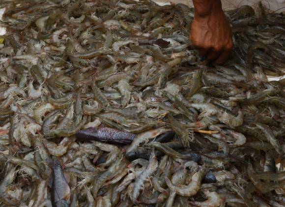 La otra crisis que viene para Sinaloa